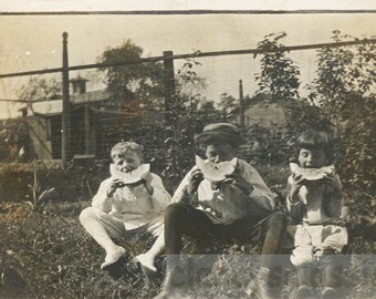 Vintage Foto 1914 Drei Kinder Sitzen Jedes isst eine Große Scheibe Wassermelone 71H