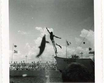 vintage photo 1958 Seaquarium Seaworld Dolphin Man Leaps for Fish Miami53 I
