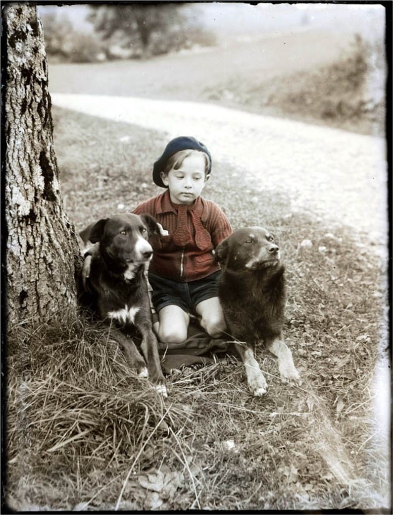 French Beret Boy Hand Knit Sweater w His 2 Best Dogs Tinted Vintage Photo Print image 2