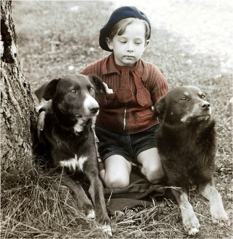 French Beret Boy Hand Knit Sweater w His 2 Best Dogs Tinted Vintage Photo Print image 1