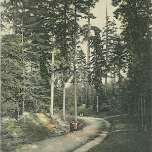 carte postale vintage 1906 Seattle Washington Woodland Park Hand Colored 10 Z