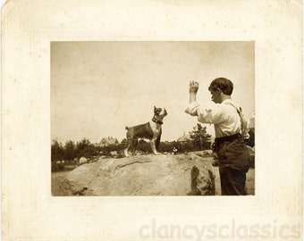 vintage photo 1910 Man Holds Up Treat for Boston Terrier Dog on Rock Cabinet Photo