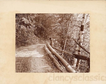 Vintage Foto 1900er Jahre Brattleboro VT Bergwald Dirt Road Log Leitlinie mit Brettern Foto Historische Gesellschaft