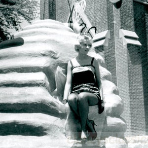 vintage photo 1955 Queen Bee Young Lady Sits on Beehive 69 C