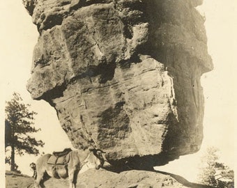 vintage photo 1918 Colorado Springs CO Garden of Gods Balanced Rock w Donkey51 C