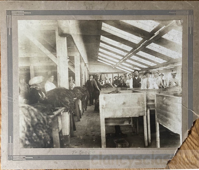 vintage photo Tobacco Cigar Factory African Americans Italians New York City Mr Allen Cabinet image 2