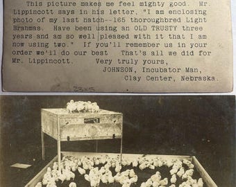 ビンテージ写真 RPPC 鶏広告 リッピンコット 鶏孵卵器 ブラフマひよこ 1920 年代 RPPC 48 U