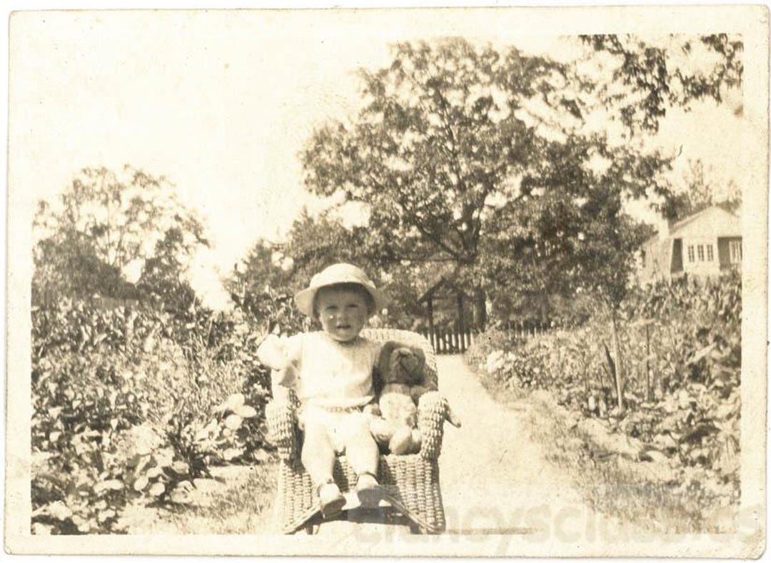 Vintage Photo 1915 Little Baby Girl Del Sits W Teddy Bear in Wicker ...