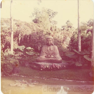 vintage photo 1976 Garden of Peace Lotus Pond Buddha Statue 14 M