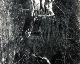 vintage photo 1920 Young Women Stand Gather on Giant Tree Stump 70 T