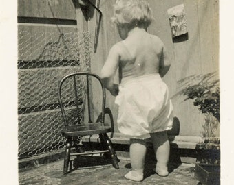 vintage photo 1911 Little girl from Back New Bloomer Pants 67E