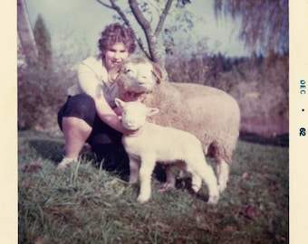 Vintage photo 1962 Woman Baa Baa Little Lamb sheep Color Snapshot 14 B