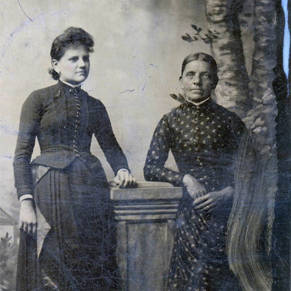 1880 LArge Tintype Young Woman Unusual FAshion & Mother Birch Tree BAckdrop 54 V
