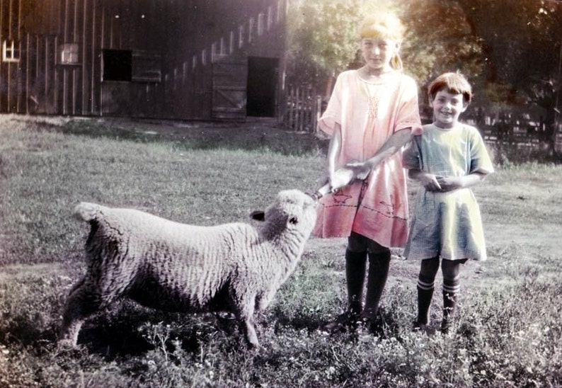 Sisters Feeding the Lamb on Farm Photograph Etsy