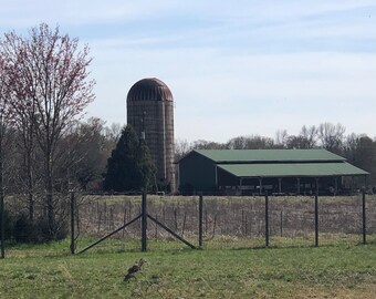 Silo