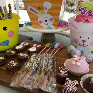 Easter Basket Filled with Homemade Chocolate Treat Box Holiday Easter Basket Filler Easter Candy
