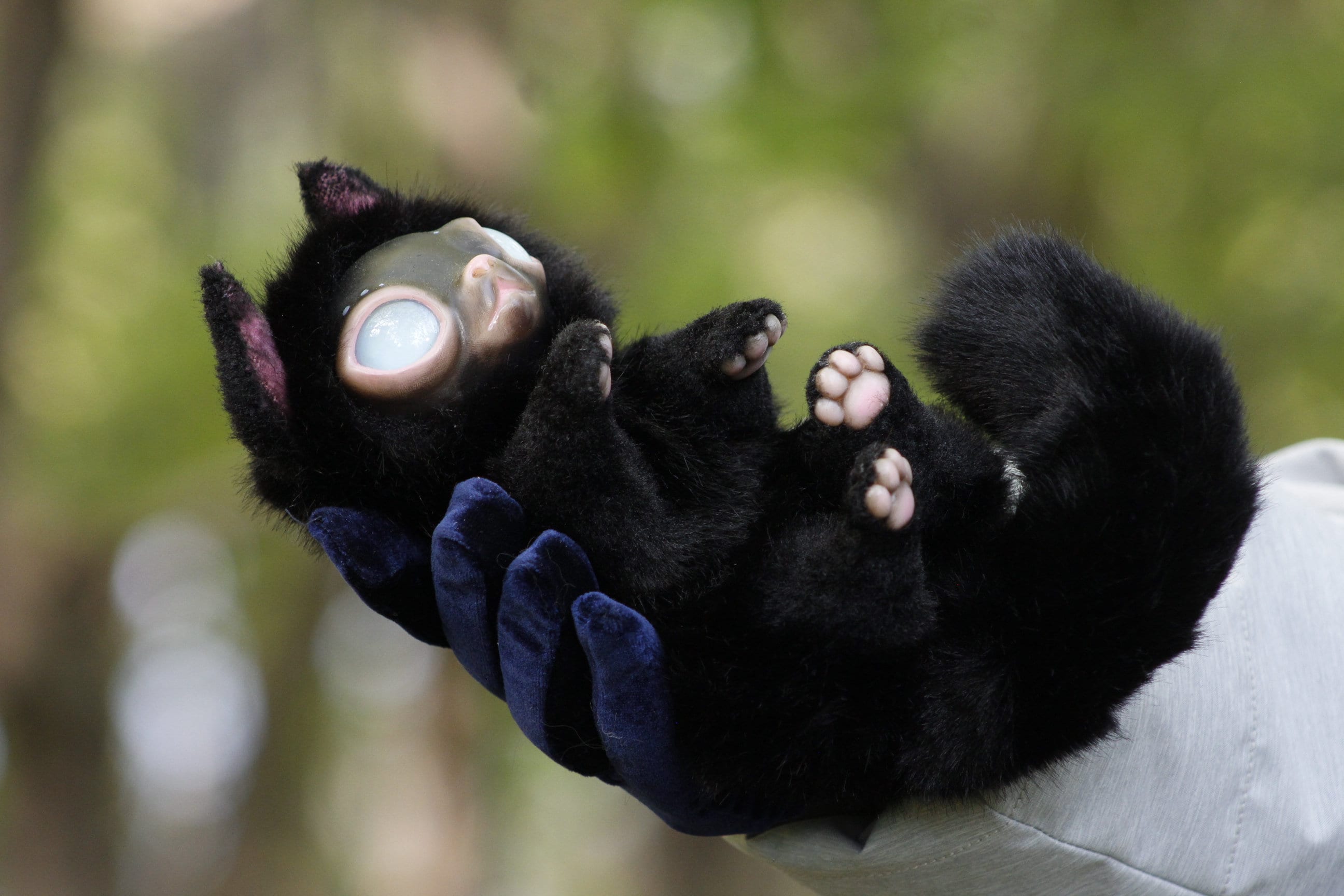 Black Cat Matagot Eyes Gow in the Dark - Etsy