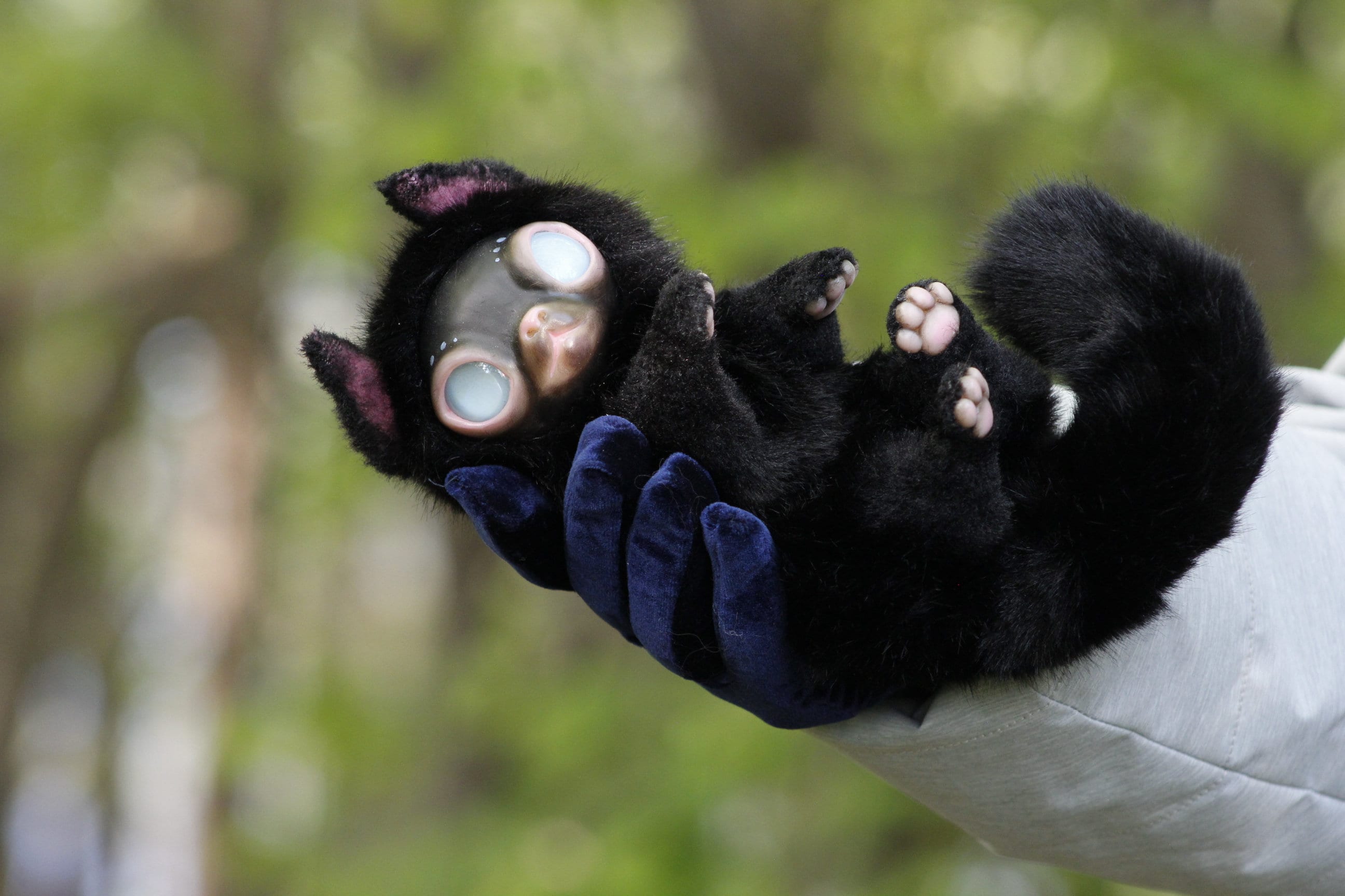 Black Cat Matagot Eyes Gow in the Dark - Etsy