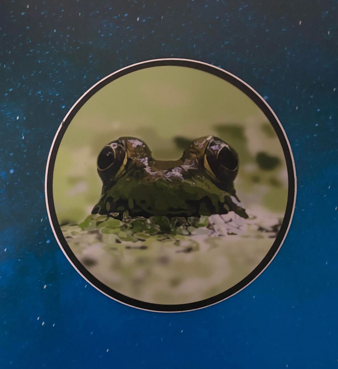 Frog Sticker - Etsy
