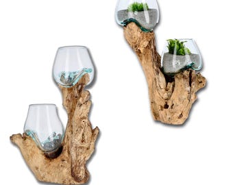 Decorazione in vetro naturale su legno di radice – doppia ciotola, fatta a mano – pezzo unico come vaso, portacandele o terrario – design sostenibile