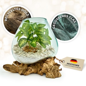 deko-schale-glas-auf-wurzelholz-handgefertigt.jpg
glasvase-naturdeko-handarbeit-wurzelholz-unikat.jpg
glas-und-holz-deko-zwei-varianten-handgemacht.jpg
naturdeko-im-wohnzimmer-glas-auf-holz-tischdeko.jpg
recyceltes-glas-und-wurzelholz-nachhaltige-materialien.jpg
kunsthandwerk-glas-auf-holzwurzel-handgegossen.jpg
naturstil-wohnaccessoire-vase-auf-wurzelholz.jpg
wohnideen-boho-deko-fuer-jeden-raum-glas-holz.jpg
umweltfreundliche-deko-waldmotive-glas-wurzelholz.jpg
