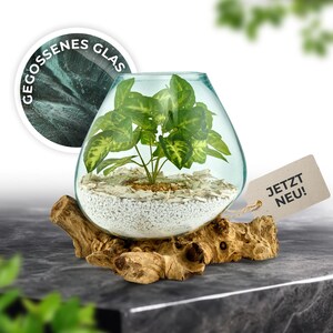 deko-schale-glas-auf-wurzelholz-handgefertigt.jpg
glasvase-naturdeko-handarbeit-wurzelholz-unikat.jpg
glas-und-holz-deko-zwei-varianten-handgemacht.jpg
naturdeko-im-wohnzimmer-glas-auf-holz-tischdeko.jpg
recyceltes-glas-und-wurzelholz-nachhaltige-materialien.jpg
kunsthandwerk-glas-auf-holzwurzel-handgegossen.jpg
naturstil-wohnaccessoire-vase-auf-wurzelholz.jpg
wohnideen-boho-deko-fuer-jeden-raum-glas-holz.jpg
umweltfreundliche-deko-waldmotive-glas-wurzelholz.jpg