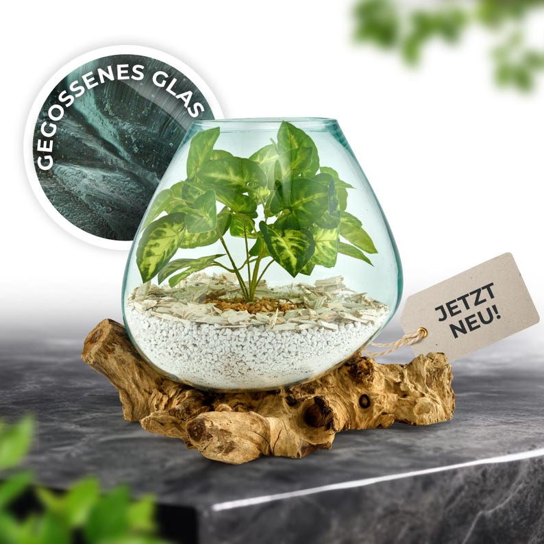 deko-schale-glas-auf-wurzelholz-handgefertigt.jpg
glasvase-naturdeko-handarbeit-wurzelholz-unikat.jpg
glas-und-holz-deko-zwei-varianten-handgemacht.jpg
naturdeko-im-wohnzimmer-glas-auf-holz-tischdeko.jpg
recyceltes-glas-und-wurzelholz-nachhaltige-materialien.jpg
kunsthandwerk-glas-auf-holzwurzel-handgegossen.jpg
naturstil-wohnaccessoire-vase-auf-wurzelholz.jpg
wohnideen-boho-deko-fuer-jeden-raum-glas-holz.jpg
umweltfreundliche-deko-waldmotive-glas-wurzelholz.jpg