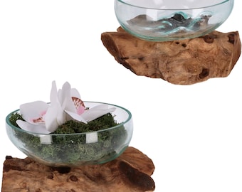 Cuenco decorativo plano de vidrio sobre madera de raíz – Pieza única hecha a mano de vidrio reciclado y madera natural – Decoración de mesa o jardinera sostenible