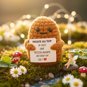 Peut inclure: Une figurine de pomme de terre crochetée tient une pancarte avec le texte "PATATE AU TOP JE SUIS UNE PETITE PATATE QUI CROIT EN TOI!" avec un cœur. La scène comprend des marguerites, des champignons et une figurine de fée.