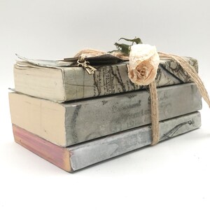 Decorative Book Stack, Book Bundle, Tan, Gray, Blue, Farmhouse, Cottage ...