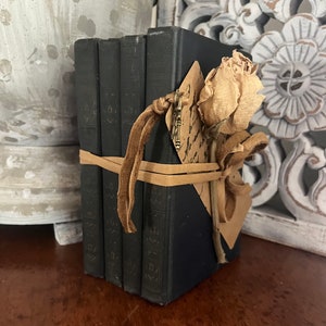 May include: A stack of four black hardcover books tied together with a brown leather strap and a tan ribbon. A dried rose and a key are attached to the ribbon.