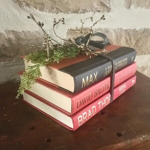 May include: A stack of four books with red and black covers, bound together with a dark leather strap. The top book has the title "MAX" in gold lettering. The stack is decorated with a gold-colored floral accent and greenery.