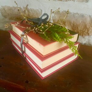 May include: A stack of three books with red covers and white pages, tied with a dark gray ribbon. The books are decorated with a sprig of green foliage and gold-colored decorative branches.