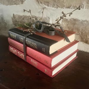 May include: A stack of three books with red and black covers, tied with a black leather strap and adorned with a decorative twig and leaf arrangement. The top book is black with the title "MAX".