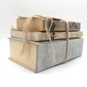Decorative Book Stack, Book Bundle, Tan, Gray, Blue, Farmhouse, English ...