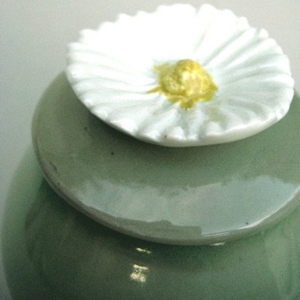 He Loves Me - He Loves Me Not - Daisy Treasure Jar