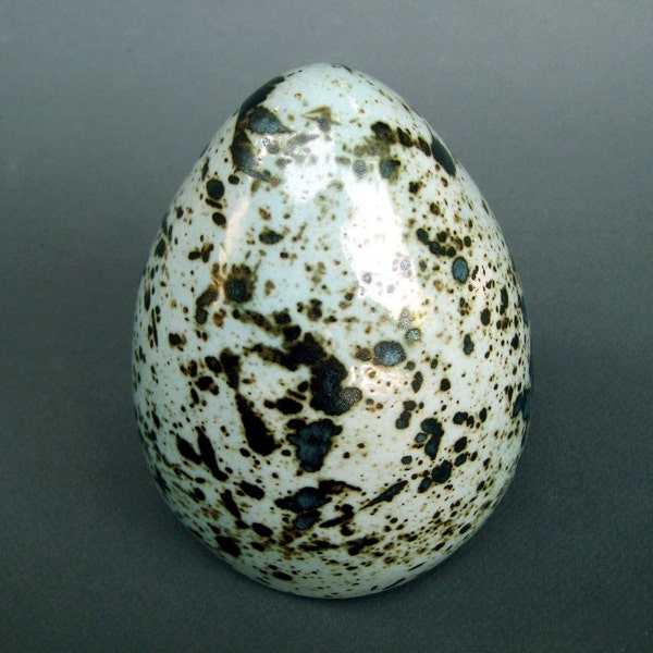 Porcelain Robins Egg