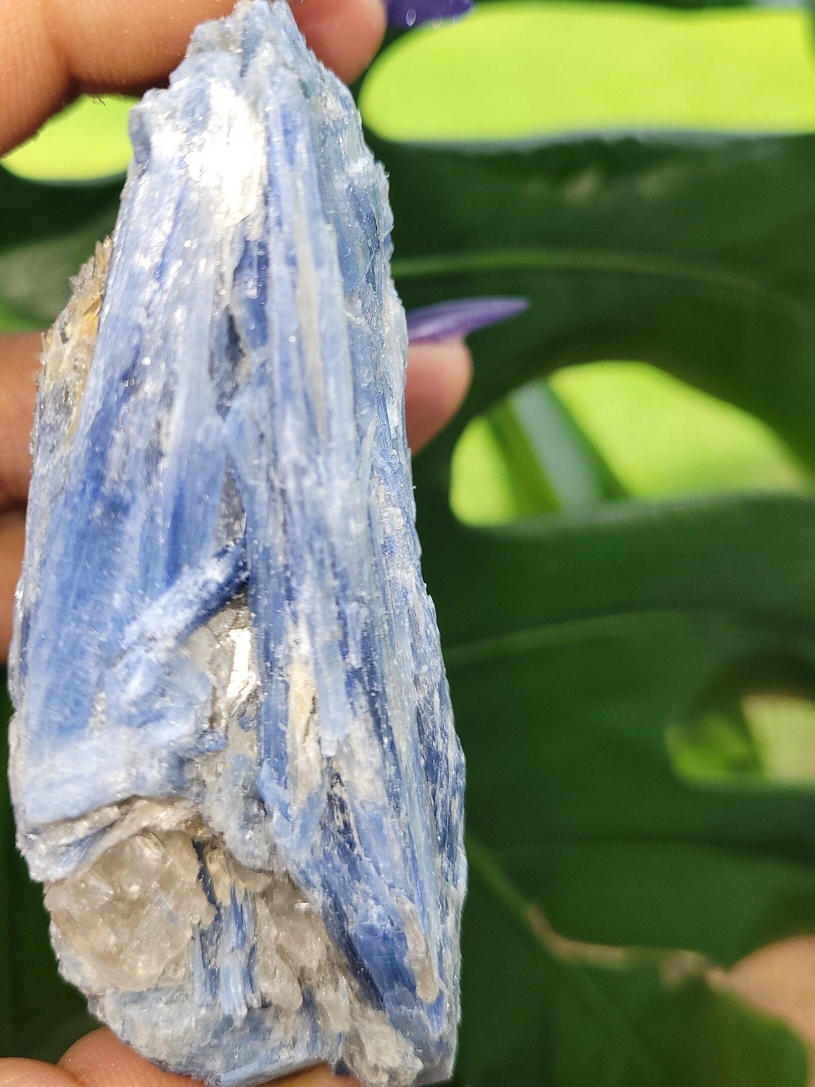 Kyanite & Quartz Crystal With Mica Inclusions Raw Natural