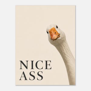 Nice Ass Poster – Lustiges Badezimmer Poster mit Gans | Humorvolle Bathroom Wall Art | Modernes WC Wandbild | Toilette Deko