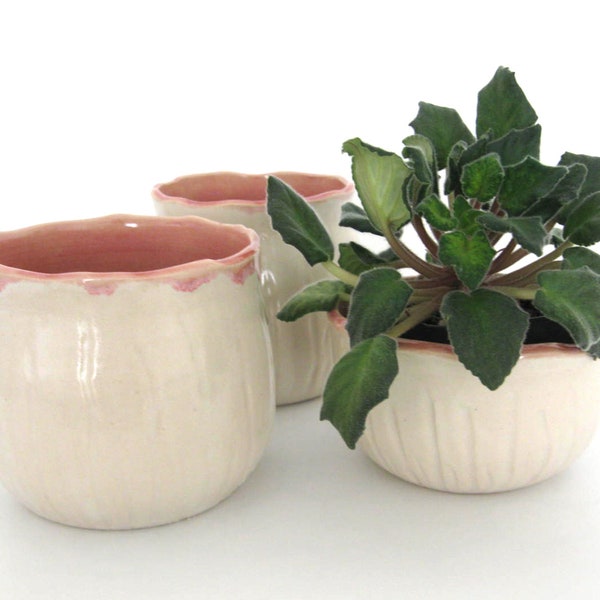 Planter Set - Set of 3 - Seed Pod Series -Succulent Planters - Indoor Planters -  Ready to Ship