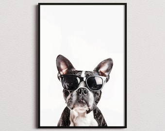 Impresión de Boston Terrier con gafas de sol, impresión de perro Boston Terrier, póster de perro Boston Terrier, impresión divertida de perro Boston Terrier, impresión divertida de perro