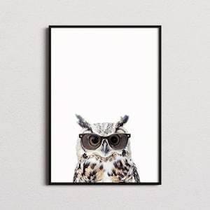 May include: A brown and white owl wearing black framed sunglasses. The owl is looking directly at the camera.