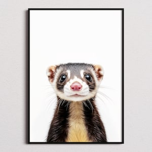 Ferret Print, Ferret Poster, Ferret Wall Art, Ferret Art Print, Ferret Photo