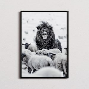 Lion Among Sheep Print, Lion Print, Lion Poster, Lion Photo, Lion Art, Black and White print, Black and White Wall Art, Monochrome Prints