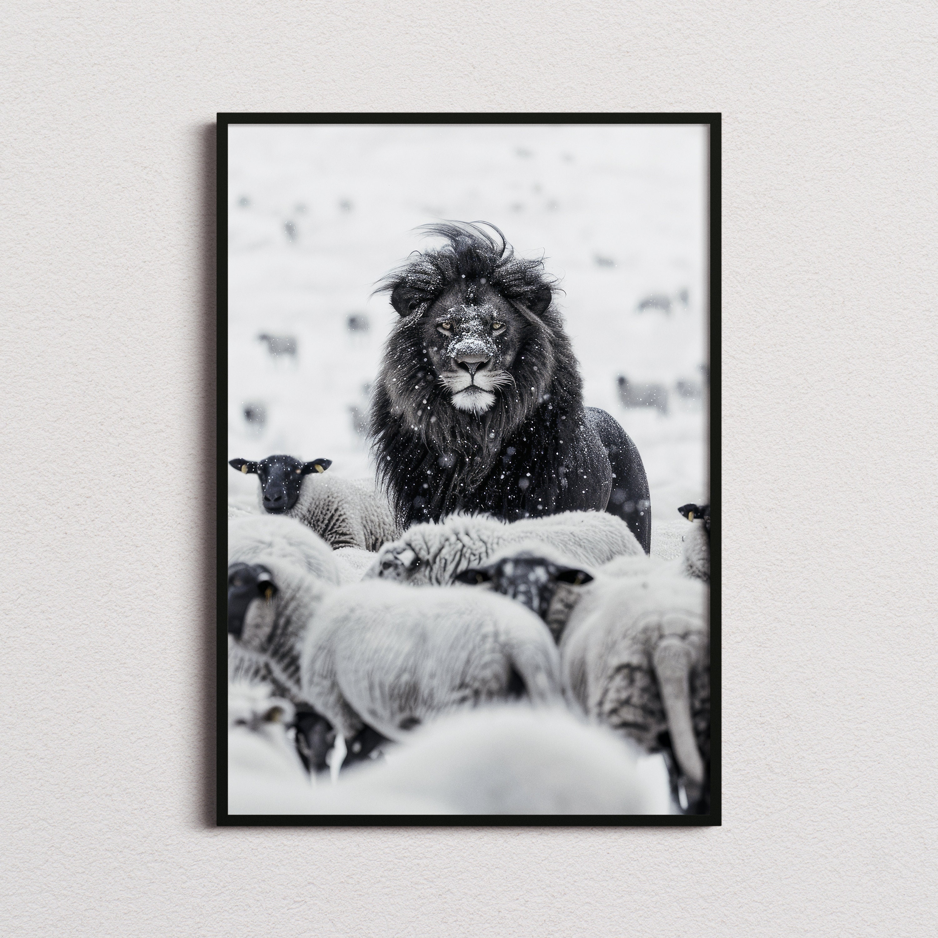 Lion Among Sheep Print, Lion Print, Lion Poster, Lion Photo, Lion Art, Black and White print, Black and White Wall Art, Monochrome Prints