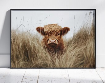 Highland Kuh Foto, Highland Kuh Druck, Highland Kuh Kalb, Scottish Druck, Highland Kuh Geschenke, Highland Kuh Poster, Highland Kuh Fotografie