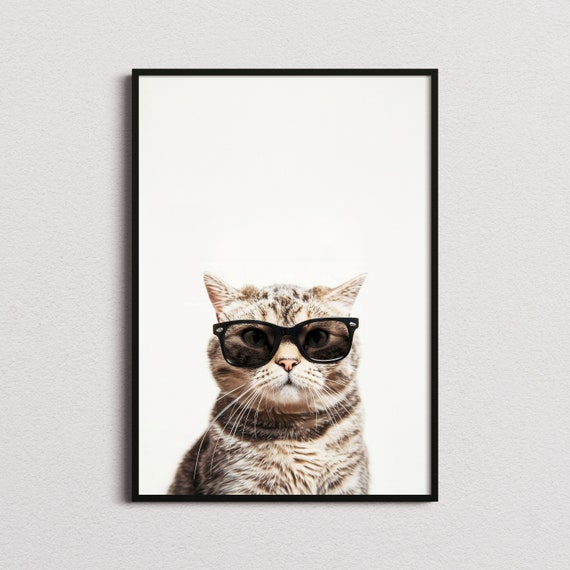 The Black Cat SCOTTISH FOLD glasses Adorable black cat