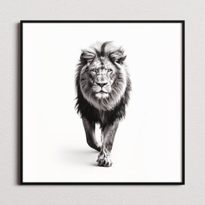 Black and White Lion Print, Lion Print, Lion Poster, Lion Photo, Black and White print, Black and White Wall Art, Black and White Poster
