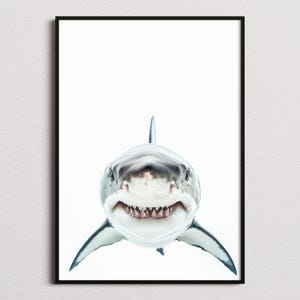 Great White Shark Print, Great White Shark Poster, Great White Shark Wall Art, Great White Shark Art Print, Great White Shark Photo