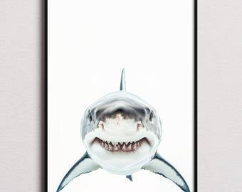 Great White Shark Print, Great White Shark Poster, Great White Shark Wall Art, Great White Shark Art Print, Great White Shark Photo